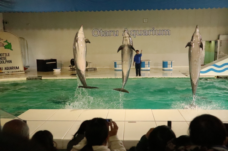 おたる水族館 北海道小樽市 写真一覧 ２９ 北海道の動物園 水族館
