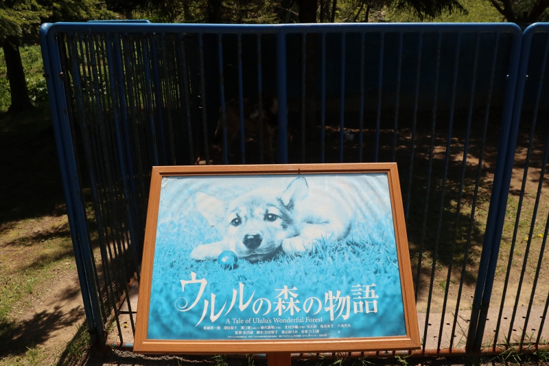 稚内市動物ふれあいランド 北海道稚内市 05 31 11 56 11 北海道の動物園 水族館